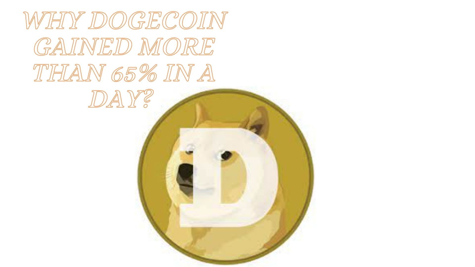 Why dogecoin gained more than 65% in a day?